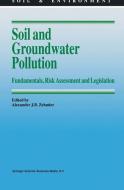 Soil and Groundwater Pollution edito da Springer Netherlands