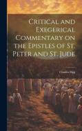 Critical and Exegerical Commentary on the Epistles of St. Peter and St. Jude di Charles Bigg edito da LEGARE STREET PR