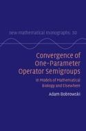 Convergence of One-parameter Operator Semigroups di Adam Bobrowski edito da Cambridge University Press