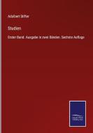 Studien di Adalbert Stifter edito da Salzwasser-Verlag