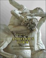 Ambitious Form - Giambologna, Ammanati, and Danti in Florence di Michael W. Cole edito da Princeton University Press