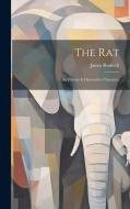 The Rat: Its History & Destructive Character di James Rodwell edito da LEGARE STREET PR