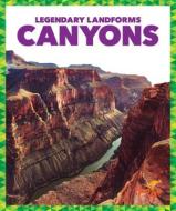 Canyons di Rebecca Pettiford edito da POGO