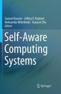 Self-Aware Computing Systems edito da Springer International Publishing