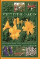 Scent in the Garden di Andrew Mikolajski edito da Anness Publishing