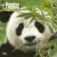 Pandas Calendar edito da Browntrout Publishers