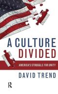 Culture Divided di David Trend edito da Taylor & Francis Ltd