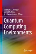 Quantum Computing Environments edito da Springer International Publishing