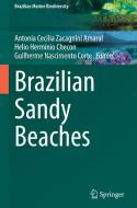 Brazilian Sandy Beaches edito da Springer International Publishing