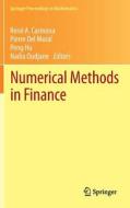 Numerical Methods in Finance edito da Springer-Verlag GmbH