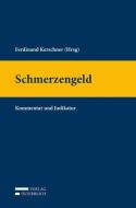 Schmerzengeld di Martina Kisslinger, Melanie Schlager edito da Verlag Österreich GmbH