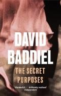 The Secret Purposes di David Baddiel edito da Little, Brown Book Group