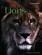Lions di Rebecca Stefoff edito da Cavendish Square Publishing