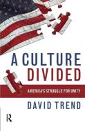 Culture Divided di David Trend edito da Taylor & Francis Ltd