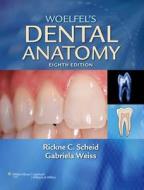 Woelfel\'s Dental Anatomy di Rickne C. Scheid, Gabriela Weiss edito da Lippincott Williams And Wilkins