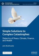 Simple Solutions To Complex Catastrophes di John Braithwaite edito da Springer International Publishing AG