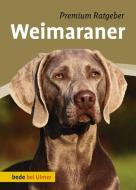 Weimaraner di Annette Schmitt edito da Ulmer Eugen Verlag