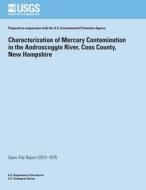 Characterization of Mercury Contamination in the Androscoggin River, Coos County, New Hampshire di U. S. Department of the Interior edito da Createspace