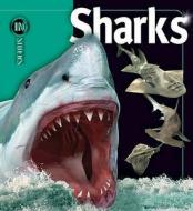 Sharks di Beverly McMillan edito da Templar Publishing