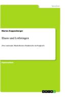 Elsass und Lothringen di Marion Koppenberger edito da GRIN Verlag
