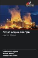 Nesso acqua-energia di Shahide Dehghan, Robab Razmi, Hossein Gholami edito da Edizioni Sapienza