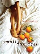 Small Damages di Beth Kephart edito da Philomel Books