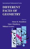 Different Faces of Geometry edito da Springer US