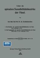 Ueber die spinalen Sensibilitätsbezirke der Haut di Alfred Goldscheider edito da Springer Berlin Heidelberg