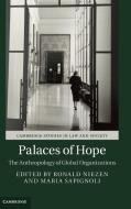 Palaces of Hope edito da Cambridge University Press