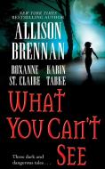 What You Can't See di Allison Brennan, Karin Tabke, Roxanne St Claire edito da Gallery Books