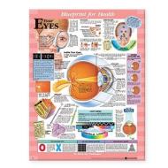 Blueprint For Health Your Eyes Chart edito da Anatomical Chart Co.