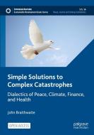 Simple Solutions to Complex Catastrophes di John Braithwaite edito da Springer Nature Switzerland
