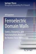 Ferroelectric Domain Walls di Jill Guyonnet edito da Springer International Publishing