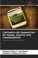 Cachoeiro de Itapemirim: its songs, charms and counterpoints di Roberto Carlos F. de Oliveira, Sandra M. Mateus Ferreira edito da Our Knowledge Publishing
