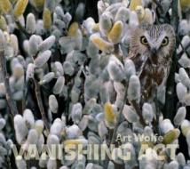 Vanishing Act di Art Wolfe, Barbara Sleeper edito da Little, Brown & Company