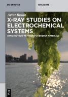 X-ray Studies on Electrochemical Systems di Artur Braun edito da Gruyter, Walter de GmbH