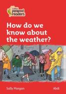Level 5 - Why Does It Rain? di Sally Morgan edito da Harpercollins Publishers