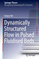 Dynamically Structured Flow in Pulsed Fluidised Beds di Kaiqiao Wu edito da Springer International Publishing