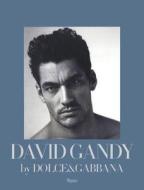 D And G David Gandy di Peter Howarth edito da Rizzoli International Publications