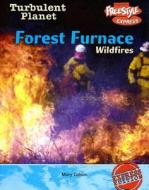 Forest Furnace: Wildfires di Mary Colson edito da Raintree