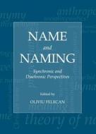 Name And Naming: Synchronic And Diachronic Perspectives edito da Cambridge Scholars Publishing
