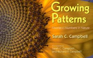 Growing Patterns: Fibonacci Numbers in Nature di Sarah C. Campbell edito da BOYDS MILLS PR