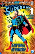 Superman: Kryptonite Nevermore di Dennis O'Neil edito da D C COMICS