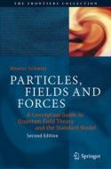 Particles, Fields and Forces di Wouter Schmitz edito da Springer International Publishing