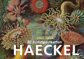 Postkartenbuch Ernst Haeckel di Ernst Haeckel edito da Anaconda Verlag