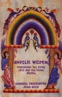 Angelic Wisdom Concerning the Divine Love and the Divine Wisdom di Emanuel Swedenborg, John Ager edito da Indoeuropeanpublishing.com