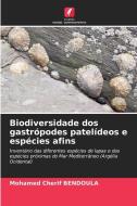 Biodiversidade dos gastrópodes patelídeos e espécies afins di Mohamed Cherif Bendoula edito da Edições Nosso Conhecimento