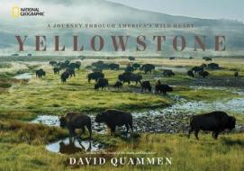 Yellowstone di David Quammen edito da National Geographic Society