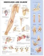 Shoulder And Elbow Anatomical Chart edito da Anatomical Chart Co.