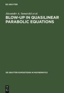 Blow-Up in Quasilinear Parabolic Equations di Victor A. Galaktionov, Sergey P. Kurdyumov, A. P. Mikhailov, A. A. Samarskii edito da De Gruyter